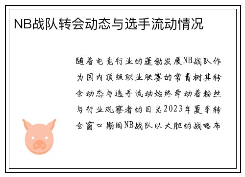 NB战队转会动态与选手流动情况